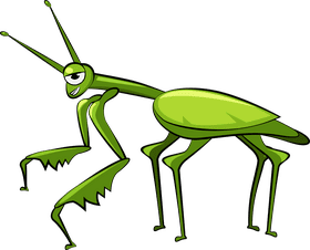 Cute Mantis clipart