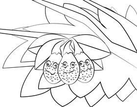 Funny bay laurel fruit black and white vector