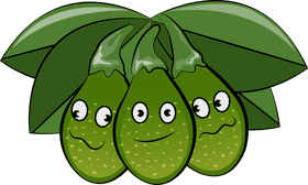 Funny bay laurel fruit clipart