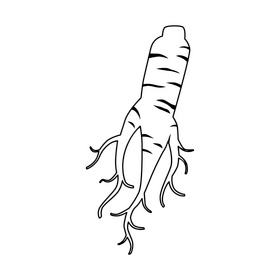 Ginseng black and white clipart