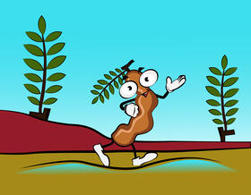 Funny Tamarind vector