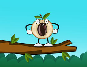 Funny Longan vector