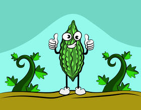 Funny Bitter Gourd vector