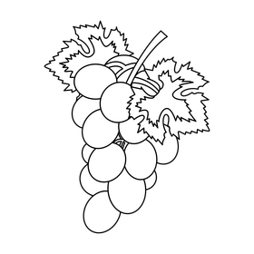 Spanish grapes black and white clipart