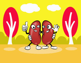 Funny Kidney Beans vector