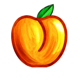 Apricot clipart