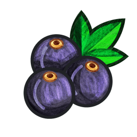 Blackberries clipart