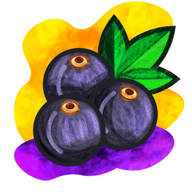 Blackberries vector