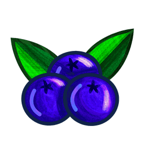 Blueberries clipart