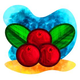 Cranberries vector