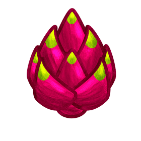 Dragonfruit clipart