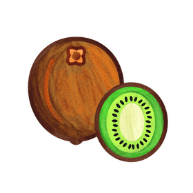 Kiwi clipart