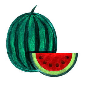 Watermelon clipart