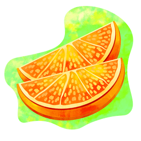 Orange slices vector