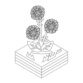 Aster flower black and white clipart