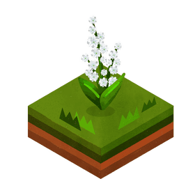 Babys breath flower clipart