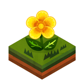 Buttercup flower clipart