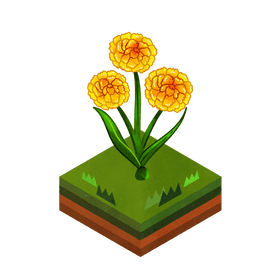 Craspedia flower clipart