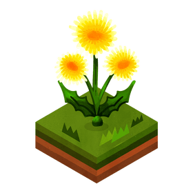 Dandelion flower clipart