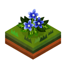 Forget me not flower clipart