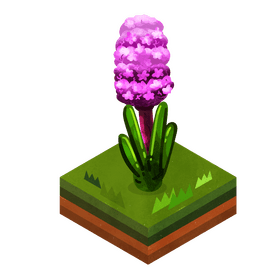 Hyacinth flower clipart