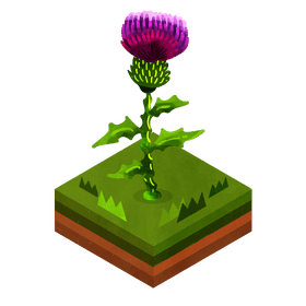 Thistle flower clipart