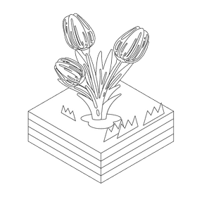 Tulips flower black and white clipart