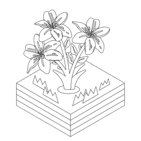 White lily flower black and white clipart