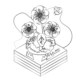 Anemone flower black and white clipart