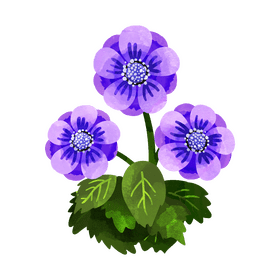 Anemone flower clipart