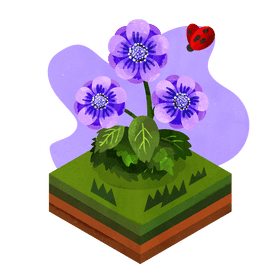 Anemone flower vector