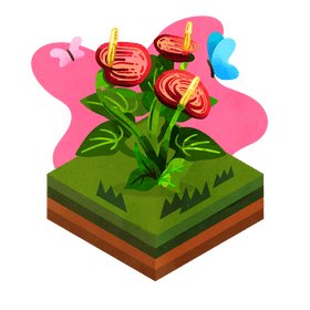 Anthurium flower vector