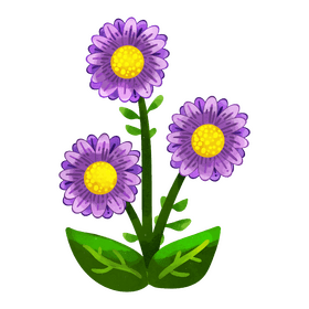 Aster flower clipart