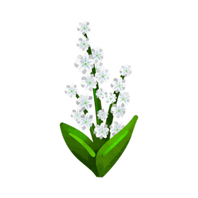 Babys breath flower clipart