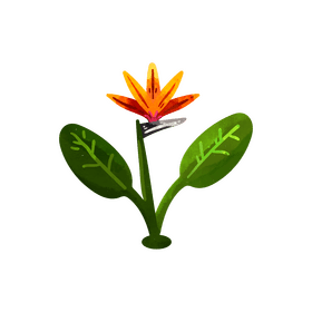 Bird of paradise flower clipart
