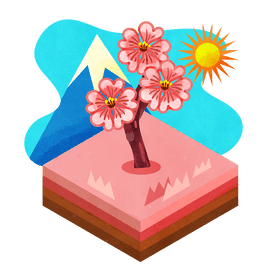 Cherry blossom flower vector