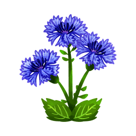 Corn flower flower clipart