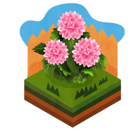 Dahlia flower vector