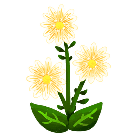 Daisy flower clipart
