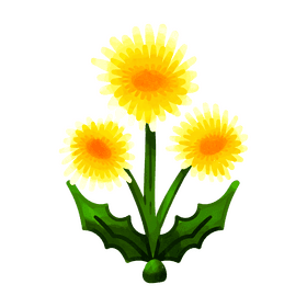 Dandelion flower clipart