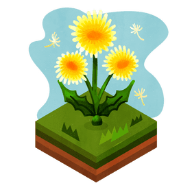 Dandelion flower vector