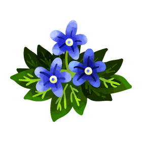 Forget me not flower clipart