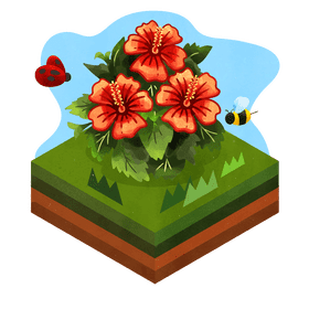 Hibiscus flower vector