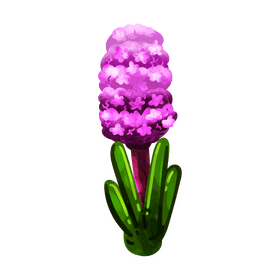 Hyacinth flower clipart