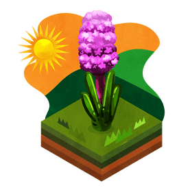 Hyacinth flower vector