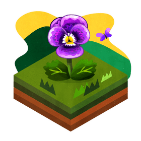 Pansy flower vector