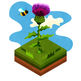 Thistle flower vector