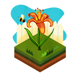 Tiger lily flower vector