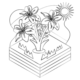 White lily flower black and white clipart