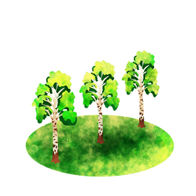 Silver birch tree clipart